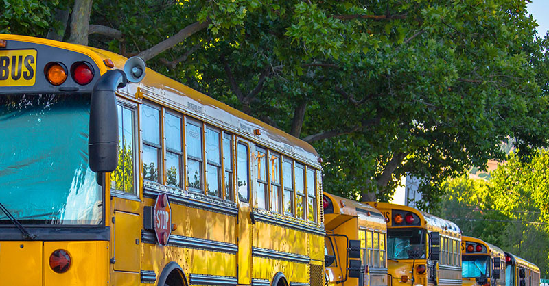 School Buses in a line