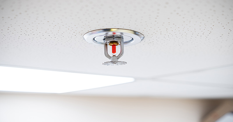 pendant-type fire sprinkler head installed on a white ceiling. The sprinkler head has a red liquid-filled glass bulb and chrome deflector plate, indicating it’s a temperature-sensitive automatic fire suppression device