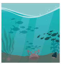 excess nutrients from flooding introduced into bays and estuaries illustration